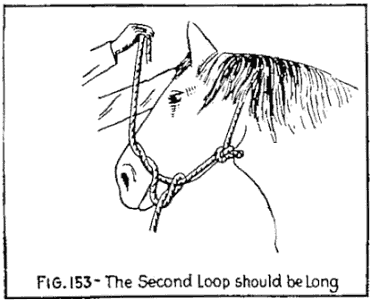 Illustration: FIG. 153—The Second Loop should be Long.